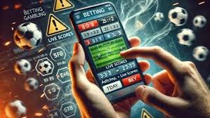 bet5555